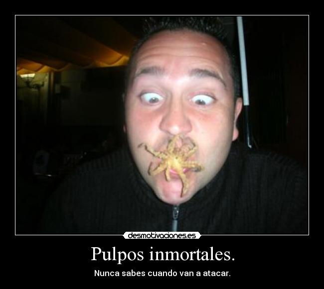 Pulpos inmortales. - Nunca sabes cuando van a atacar.