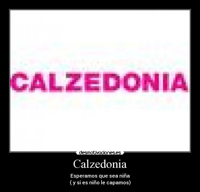 Calzedonia -