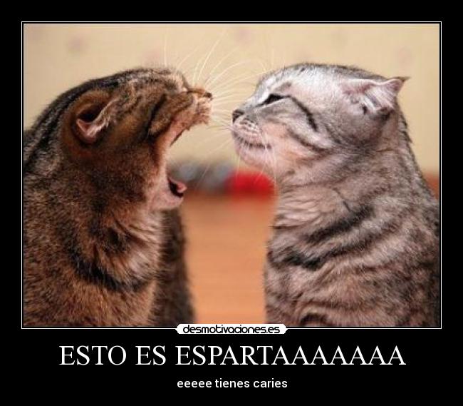 ESTO ES ESPARTAAAAAAA -