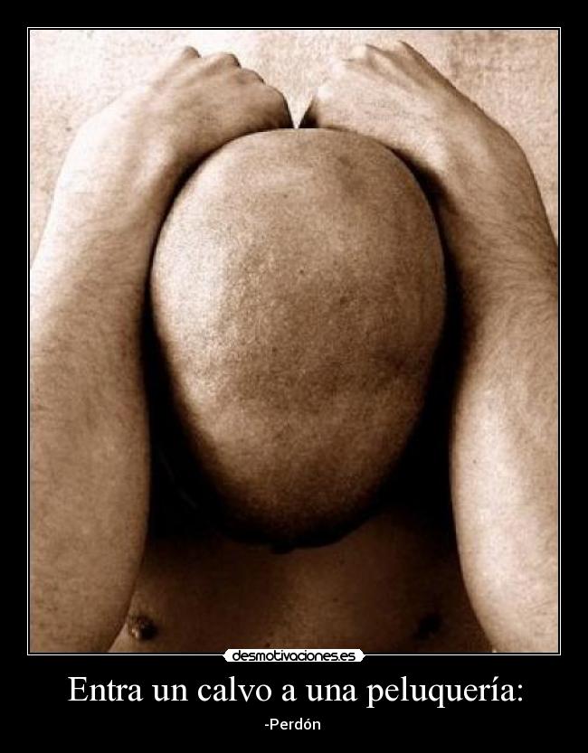 carteles calvo peluqueria desmotivaciones