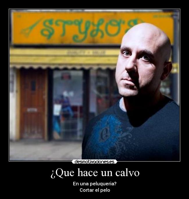 carteles calvo peluqueria desmotivaciones