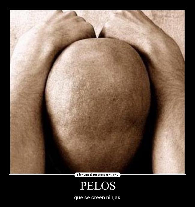 PELOS - 