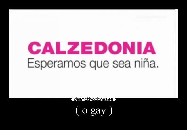 carteles calzedonia gay desmotivaciones