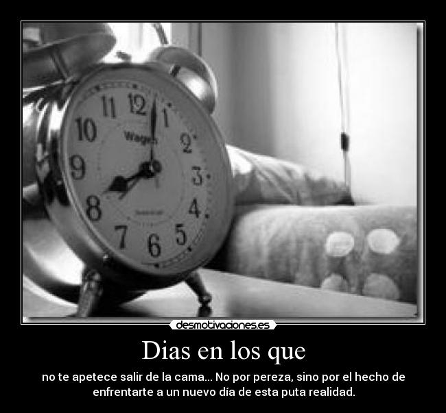 Dias en los que -