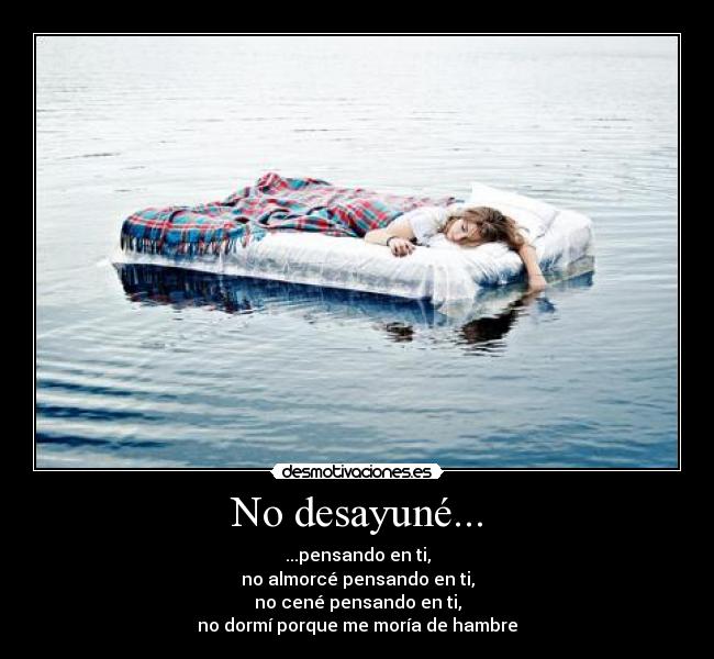 No desayuné... - ...pensando en ti,
no almorcé pensando en ti,
no cené pensando en ti,
no dormí porque me moría de hambre