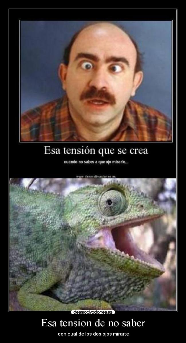 Esa tension de no saber - 