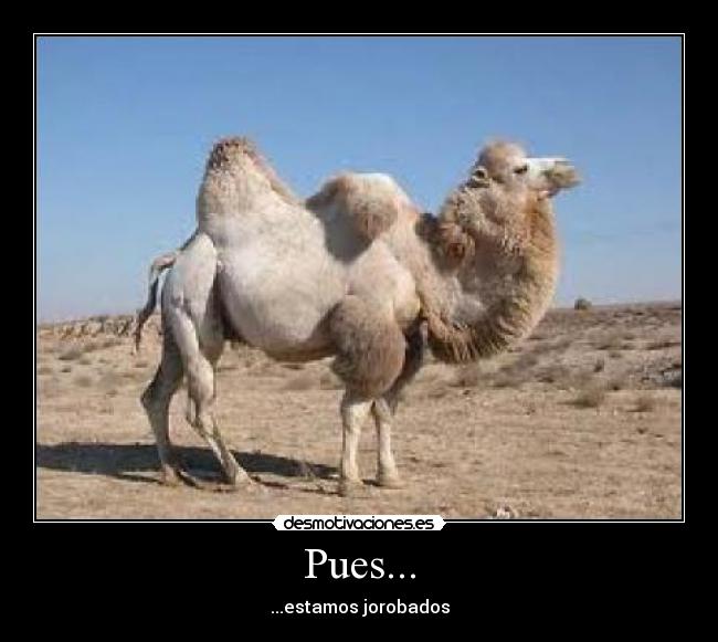 Pues... -