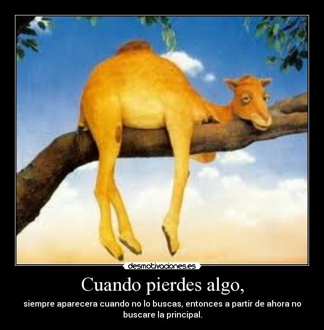 Cuando pierdes algo, - siempre aparecera cuando no lo buscas, entonces a partir de ahora no
buscare la principal.