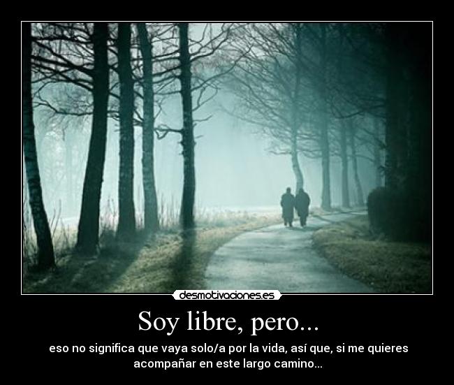 carteles artecuriosidades desmotivaciones