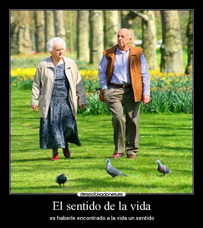 El sentido de la vida -