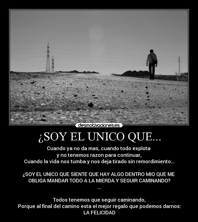 carteles soy unico felicidad caminar sigue pesar todo vamos adelante vos podes etc desmotivaciones