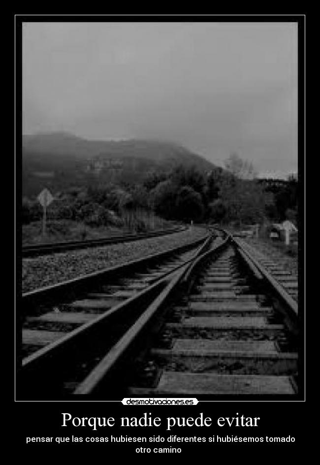 Porque nadie puede evitar - pensar que las cosas hubiesen sido diferentes si hubiésemos tomado otro camino  