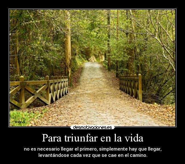 carteles vida vida desmotivaciones