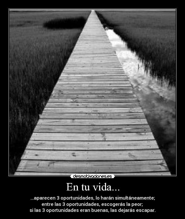 En tu vida... - ...aparecen 3 oportunidades, lo harán simultáneamente;
entre las 3 oportunidades, escogerás la peor; 
 si las 3 oportunidades eran buenas, las dejarás escapar. 