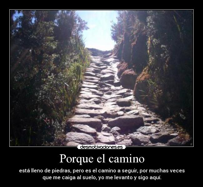 Porque el camino - está lleno de piedras, pero es el camino a seguir, por muchas veces
que me caiga al suelo, yo me levanto y sigo aquí.