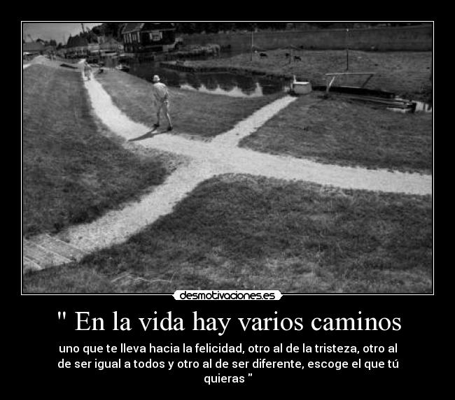 carteles vida vida hay varios caminos uno que lleva hacia felicidad otro tristeza otro desmotivaciones