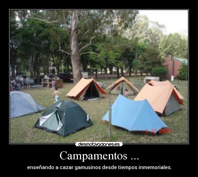carteles campamentos desmotivaciones