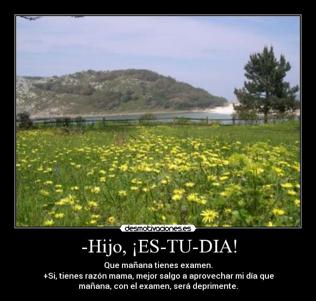 -Hijo, ¡ES-TU-DIA! - Que mañana tienes examen.
+Si, tienes razón mama, mejor salgo a aprovechar mi día que
mañana, con el examen, será deprimente.