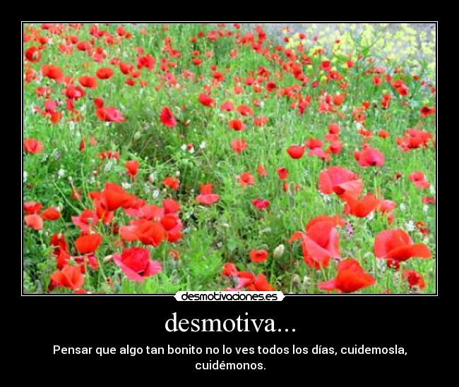 desmotiva... - 