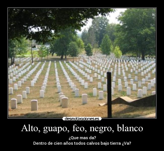 Alto, guapo, feo, negro, blanco -