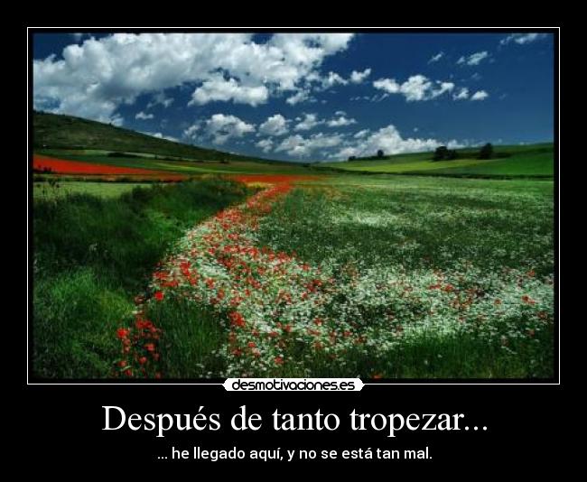 Después de tanto tropezar... - ... he llegado aquí, y no se está tan mal.