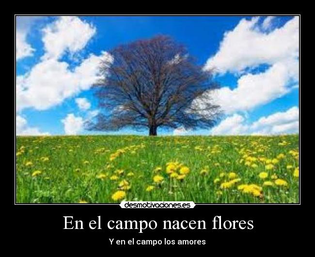 En el campo nacen flores - Y en el campo los amores