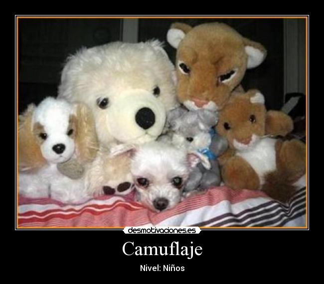 Camuflaje - Nivel: Niños