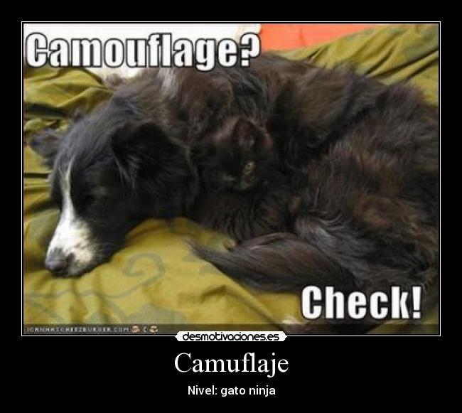 Camuflaje - 