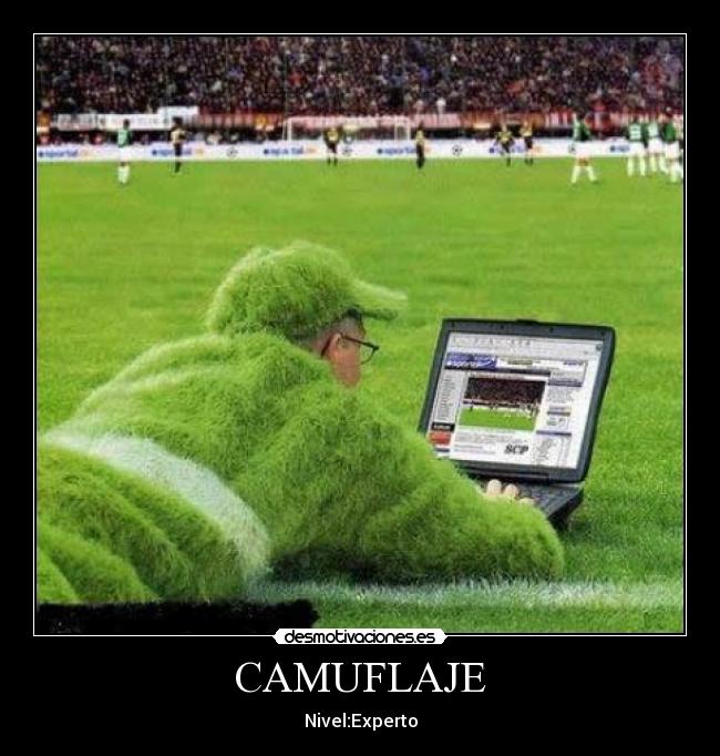 CAMUFLAJE - 