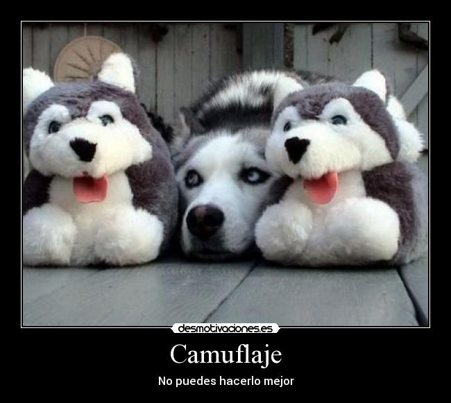 Camuflaje - No puedes hacerlo mejor