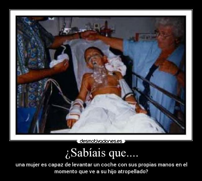 ¿Sabíais que.... - una mujer es capaz de levantar un coche con sus propias manos en el
momento que ve a su hijo atropellado?