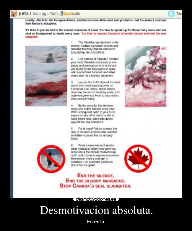 Desmotivacion absoluta. - Es esto.