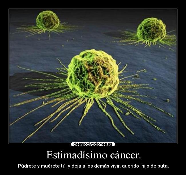 Estimadísimo cáncer. -