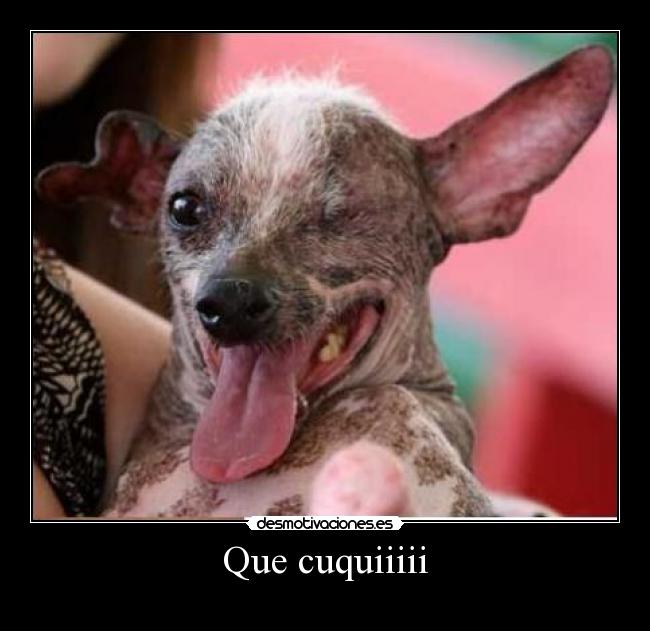 Que cuquiiiii -