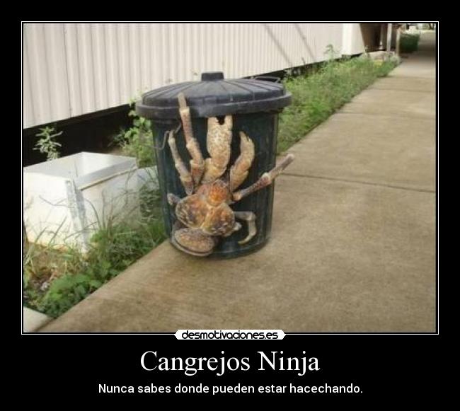 Cangrejos Ninja -