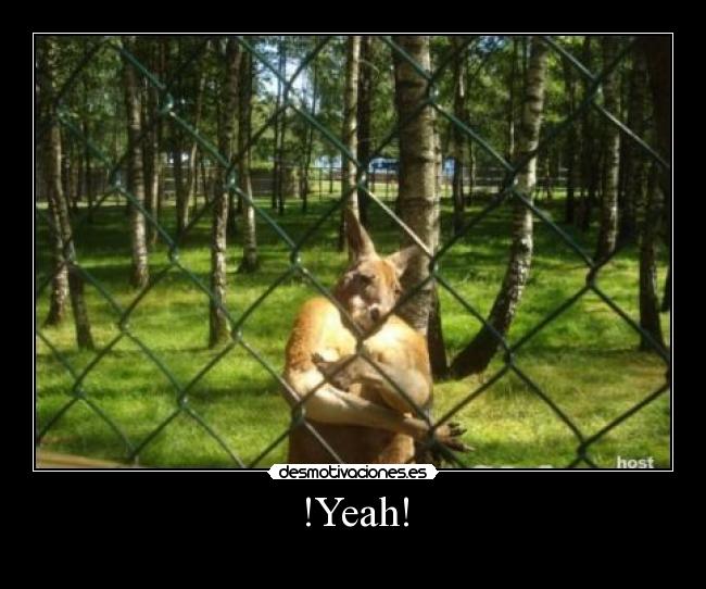 !Yeah! -
