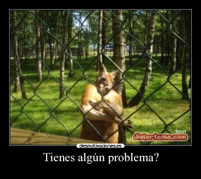 Tienes algún problema? -