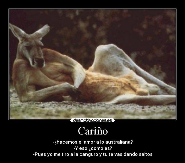 Cariño - -¿hacemos el amor a lo australiana?
-Y eso ¿como es?
-Pues yo me tiro a la canguro y tu te vas dando saltos