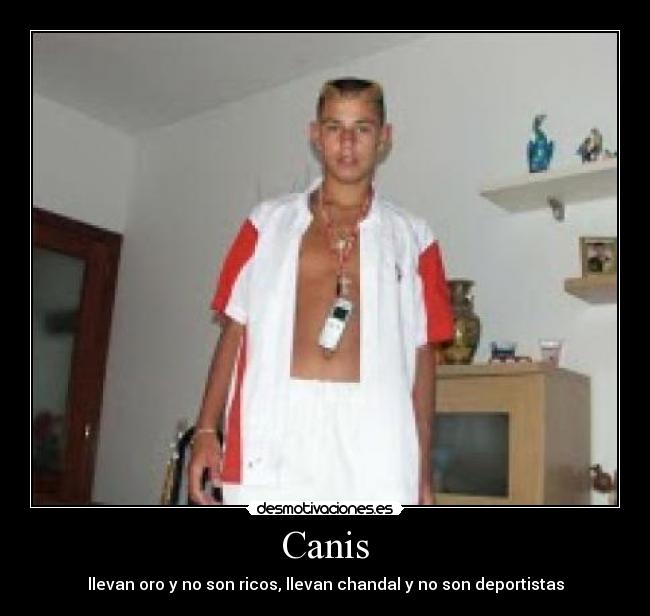 Canis - llevan oro y no son ricos, llevan chandal y no son deportistas