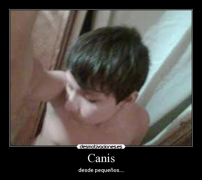 carteles canis desmotivaciones