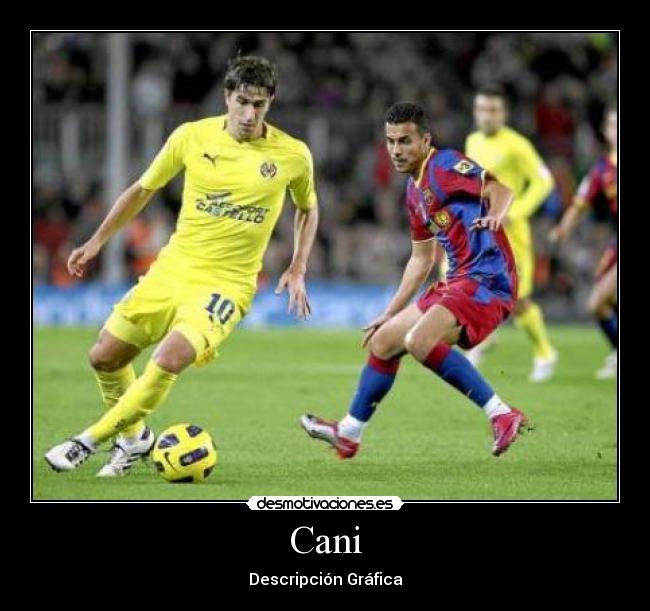 Cani - Descripción Gráfica