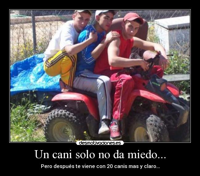 Un cani solo no da miedo... -