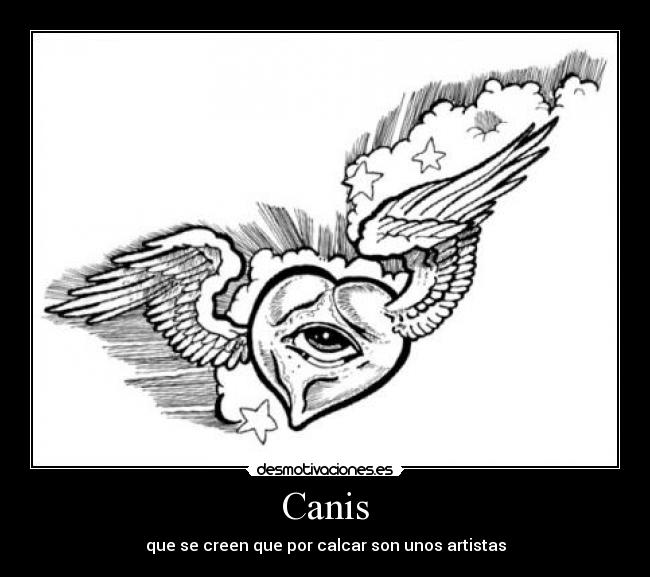 Canis -