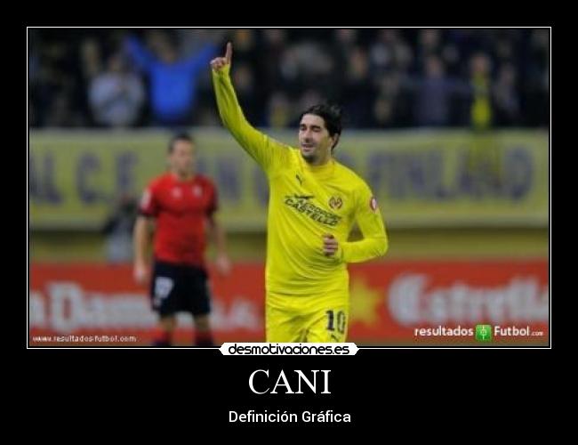 CANI - Definición Gráfica