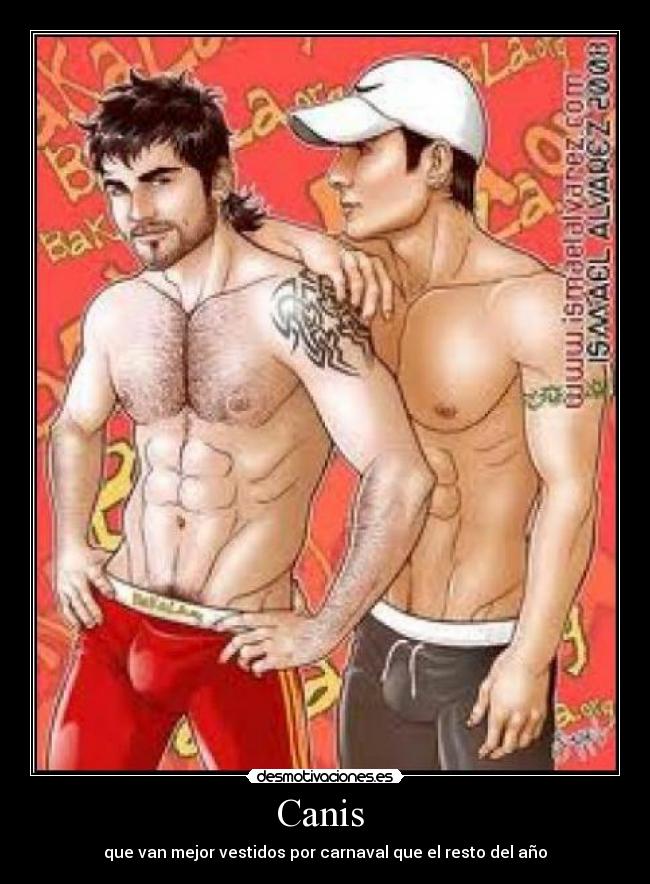 Canis - que van mejor vestidos por carnaval que el resto del año
