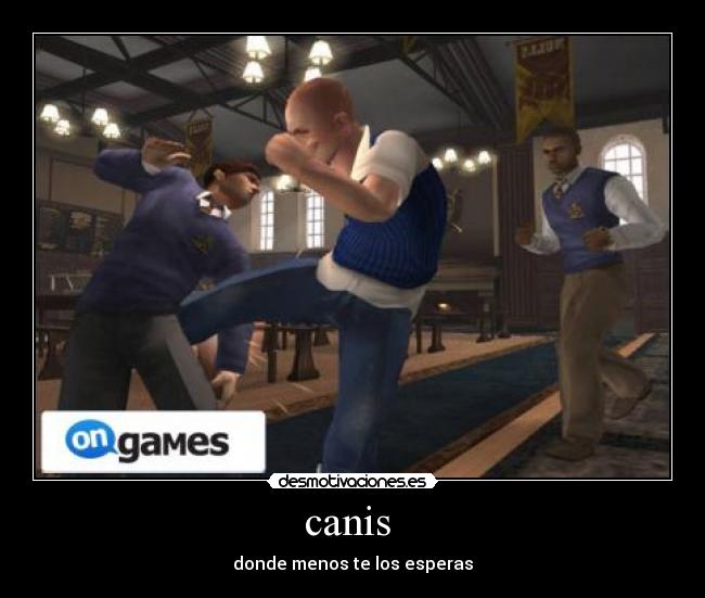 canis  - 