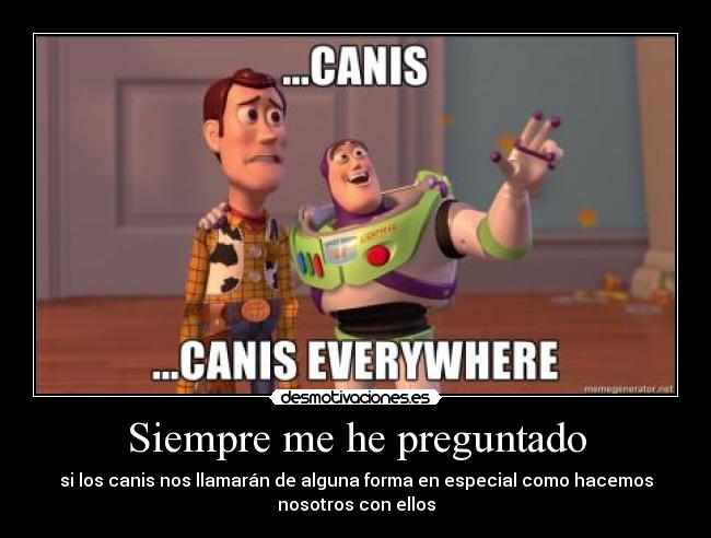 carteles wimpa cani desmotivaciones