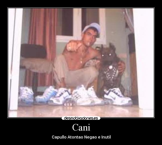 Cani - Capullo Atontao Negao e Inutil