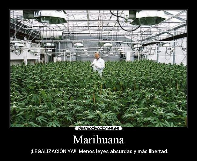 Marihuana - ¡¡LEGALIZACIÓN YA!!. Menos leyes absurdas y más libertad.