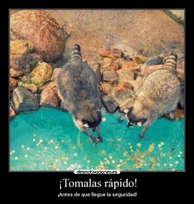 ¡Tomalas rápido! - 